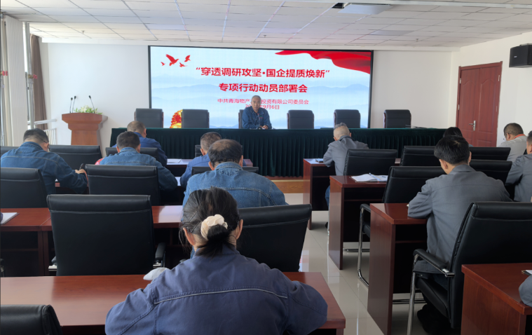 工投公司黨委召開“穿透調(diào)研攻堅·國企提質(zhì)煥新”專項(xiàng)行動動員部署會
